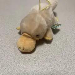 Item thumbnail for item 4815d140-98ae-4299-8f82-8a672ec03e6c