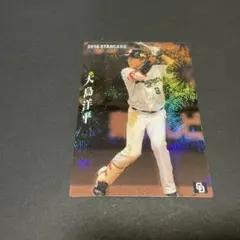 プロ野球チップス 中日ドラゴンズ 大島洋平