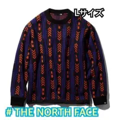 ノースフェイス　幾何学　ニット Lサイズ　冬　セーター　ボード　rage
