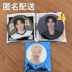 ⚠️一部スレ有り⚠️ディノ 缶バッジ 3点セット