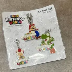新品　USJ スーパーニンテンドーワールド限定チャームセットのサムネイル