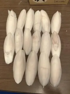 Item thumbnail for item da22ee62-8101-48e1-9da1-7275ed67c593