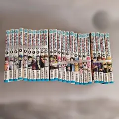 確認用・訳あり・Mr.FULLSWING ミスターフルスイング1〜18巻セット