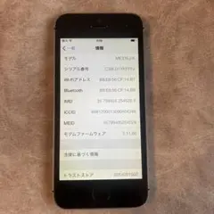 iPhone 5s 32GB ME335J/A