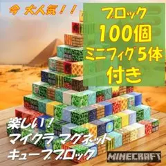 【新品】お試し価格！マイクラ ブロック100個+フィグ5体マグネットブロック