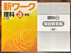 Item thumbnail for item d36144b3-9718-4fcf-a3d1-5036eb3885a3