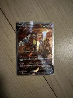 エンテイV SAR S12a VSTARユニバース 213/172