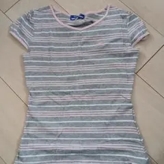 BURBERRY 半袖Tシャツ 38 グレー/ピンクストライプ