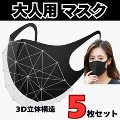 マスク 5枚セット 3Dマスク 立体マスク 洗える 大人用 黒マスク 通気性