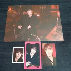 SEVENTEEN シーグリ ディノ 4点セット