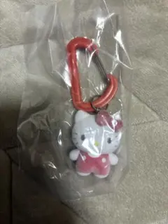 カラフルカラビナマスコットチャーム　ガチャ　フロッキー　キティ　サンリオ