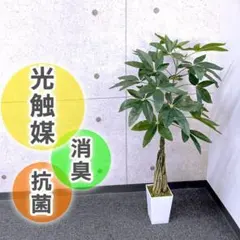 リアルな人工観葉植物 パキラ110cm 光触媒加工 抗菌・防臭 お手入れ不要のサムネイル