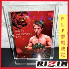 Item thumbnail for item 8c5f42d2-c03e-4deb-9dee-085ec78e35b8