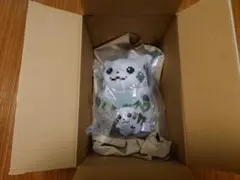 はじまりのピカチュウ　セット　ポケモン30周年