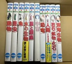 小学館の図鑑NEOシリーズ 全10巻 セット　DVD付き