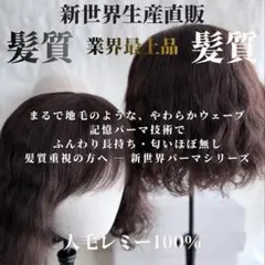 レミー人毛100%ウィッグ総手植え地肌✨艶髪！泉里香❣️プレミアム 美人ロング✨ レミー人毛100%ウィッグ総手植え地肌✨艶髪！泉里香❣️プレミアム