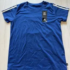 Item thumbnail for item b1d956d8-c279-4e57-bb1d-0be0ce742712