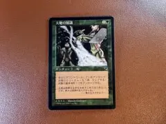 2026年最新】MTG 大地の知識の人気アイテム - メルカリ