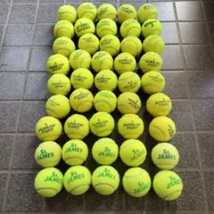 Item thumbnail for item a8e2e65a-63b1-40ff-bddd-eef3452ec413