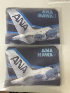 Item thumbnail for item 17d3325d-058b-4f40-864b-4a816b01d000