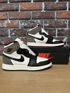 Nike GS Air Jordan 1 High OG 23.5㎝