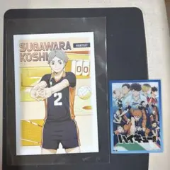 ハイキュー！！アニメイト特典　ポストカード　菅原孝支　クリアカード　おまけ