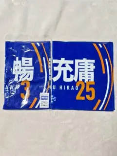 茨城ロボッツ 観戦タオルおまとめ