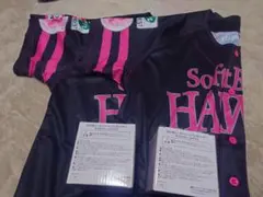 ホークス 女子高生復刻応援ユニフォームL2着&ミズホダブルウォールグラス2個