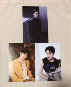 SEVENTEEN FACE THE SUN ディノ ポストカード 3枚セット