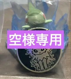 サンダース、マリルリ　空様専用　コイン