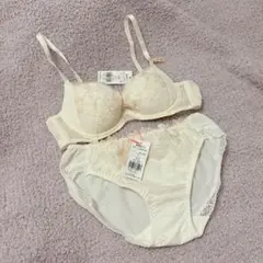 【新品未使用】ブラジャー ショーツ セット アモスタイル バイ トリンプ