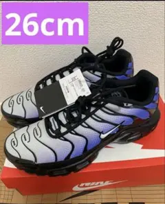 27.5cm ナイキ エアマックス プラス 