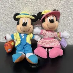 【非売品】ディズニーバケーションパッケージ　ミッキーミニーぬいぐるみ　タグ付き