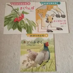 月刊 かがくのとも 絵本3冊セット