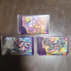 ポケモン フレンダ 【タケルライコ、ウネルミナモ、ゼクロム】