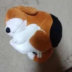 エルプランニング　犬　ぬいぐるみ　ビーグル