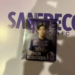 サンフレッチェ広島小林志紋