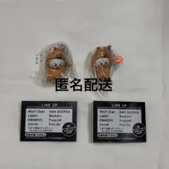 SKZOO つまんでつなげてますこっと2 Leebit セット