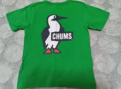 CHUMS チャムス キッズ Tシャツ グリーン 120cm