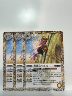 睡蓮鳥ベニス 3枚セット
