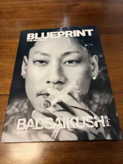 BLUE PRINT THE RECORDS