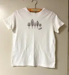 Crocodile 半袖 Tシャツ M