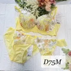 新品】wacoal サルート 06 ブラ ソングセット D75M OV - メルカリ