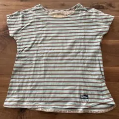 ストライプ 半袖Tシャツ 水色と茶色　クロコダイル