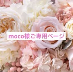 moco様専用 シーグラスアート＊女の子はみんなプリンセス＊