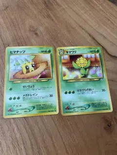 【旧裏】ポケモンカード ヒマナッツ キマワリ 進化セット ネオ1 金、銀、新世界