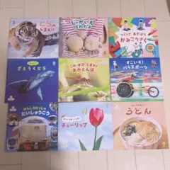 【サンチャイルド・ビッグサイエンス まとめ売り】9冊セット