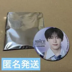 PRODUCE 101 JAPAN 新世界 缶バッジ オシンヘン - メルカリ