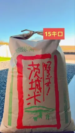 令和7年コシヒカリ玄米 20kg 茨城県産 精米無料サービス - メルカリ