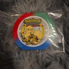 ポケパークカントー ピンバッジ ポケモン ピンズ ガーディ - メルカリ